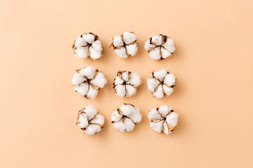 Image showing cotton flowers on beige background