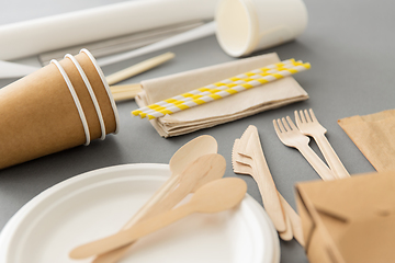 Image showing disposable dishes of paper and wood