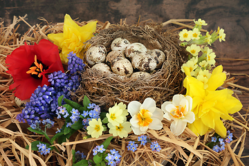 Image showing Symbols of Spring with Fresh Flowers and Natural Nest