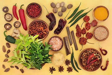 Image showing Herb and Spice Assortment Abstract Background  