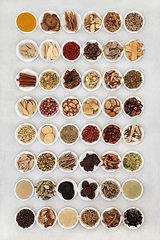 Image showing Large Chinese Herb and Spice Collection