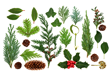 Image showing Traditional European Winter Flora and Fauna Collection