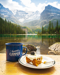 Image showing Carrot Cake at Lake O'hara