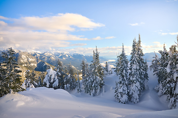 Image showing Winter mountain top view with trees