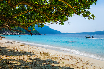 Image showing Turtle Beach, Perhentian Islands, Terengganu, Malaysia