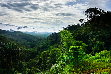 Image showing Khao Sok National Park landscape, Thailand