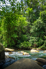 Image showing River in jungle rainforest, Khao Sok, Thailand