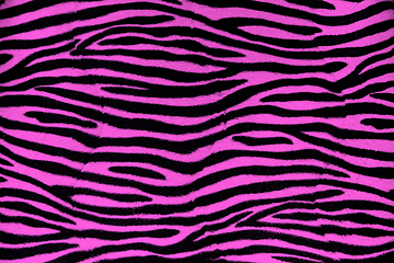 Image showing Pink zebra fur background texture