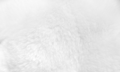 Image showing White fur background close up view