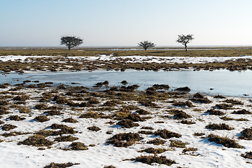 Image showing Springtime with melting snow in a great plain landscape