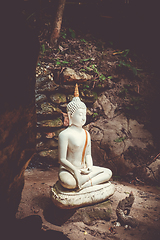 Image showing Buddha statue in jungle, Wat Palad, Chiang Mai, Thailand