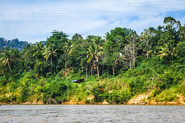 Image showing River and jungle in Taman Negara national park, Malaysia