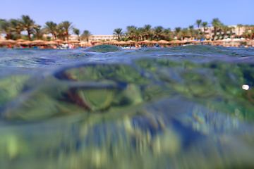 Image showing coral reef in Egypt, Makadi Bay