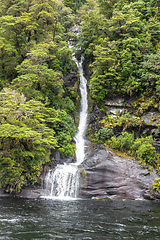 Image showing waterfall at Doubtful Sound Fiordland National Park New Zealand