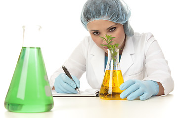 Image showing Scientist botanist studying plant