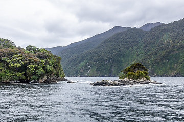 Image showing Doubtful Sound Fiordland National Park Impressions New Zealand