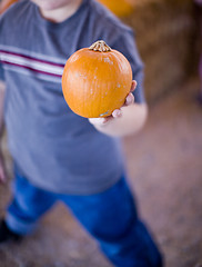 Image showing boy holding pumpkin