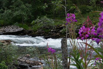 Image showing River Rauma, Oppland, Norway