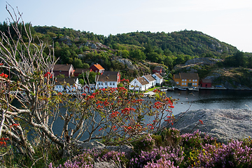 Image showing Rossnes, Nordfjorden, Norway