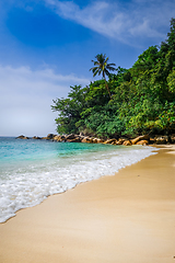 Image showing Turtle Beach, Perhentian Islands, Terengganu, Malaysia