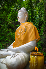 Image showing Buddha statue in jungle, Wat Palad, Chiang Mai, Thailand