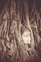 Image showing Buddha Head in Tree Roots, Wat Mahathat, Ayutthaya, Thailand