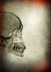 Image showing X-ray skull on a dark textured background