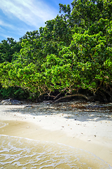 Image showing Turtle Beach, Perhentian Islands, Terengganu, Malaysia