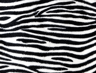 Image showing Zebra fur background texture