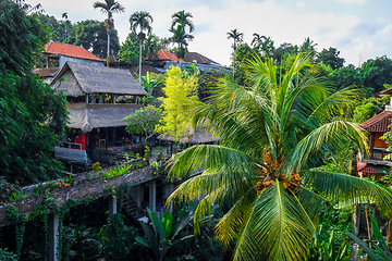 Image showing Houses in jungle, Ubud, Bali, Indonesia