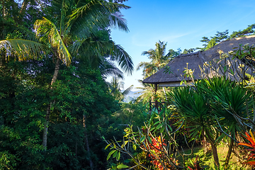 Image showing Traditional house in jungle forest, Sidemen, Bali, Indonesia