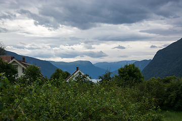 Image showing Lustrafjorden, Sogn og Fjordane, Norway