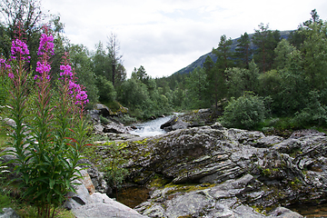 Image showing River Rauma, Oppland, Norway