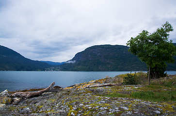 Image showing Lustrafjorden, Sogn og Fjordane, Norway