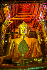 Image showing Gold Buddha statue, Wat Phanan Choeng, Ayutthaya, Thailand