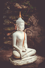 Image showing Buddha statue in jungle, Wat Palad, Chiang Mai, Thailand