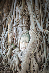 Image showing Buddha Head in Tree Roots, Wat Mahathat, Ayutthaya, Thailand