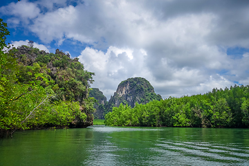 Image showing Mangrove and cliffs in Phang Nga Bay, Thailand