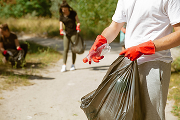 Image showing Group of volunteers tidying up rubbish on beach