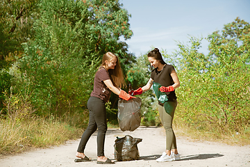 Image showing Group of volunteers tidying up rubbish on beach