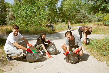 Image showing Group of volunteers tidying up rubbish on beach