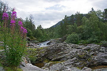 Image showing River Rauma, Oppland, Norway