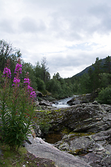 Image showing River Rauma, Oppland, Norway