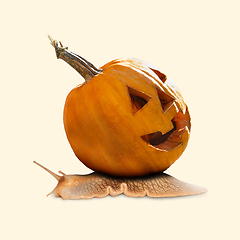 Image showing Scary pumpkin on yellow background, the night of fear