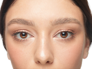 Image showing Close up shot of well-kept female big eyes and cheeks on white studio background