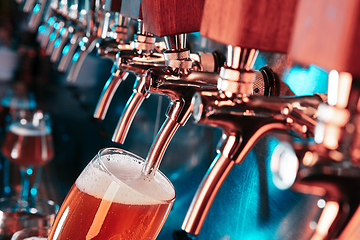 Image showing Hand of bartender pouring a large lager beer in tap