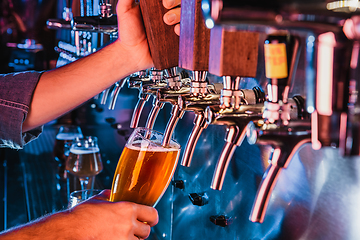 Image showing Hand of bartender pouring a large lager beer in tap