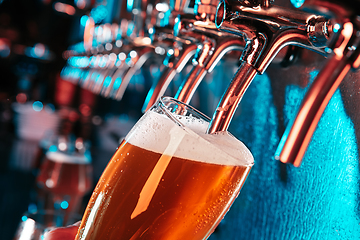 Image showing Hand of bartender pouring a large lager beer in tap