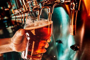 Image showing Hand of bartender pouring a large lager beer in tap