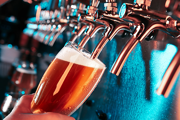 Image showing Hand of bartender pouring a large lager beer in tap